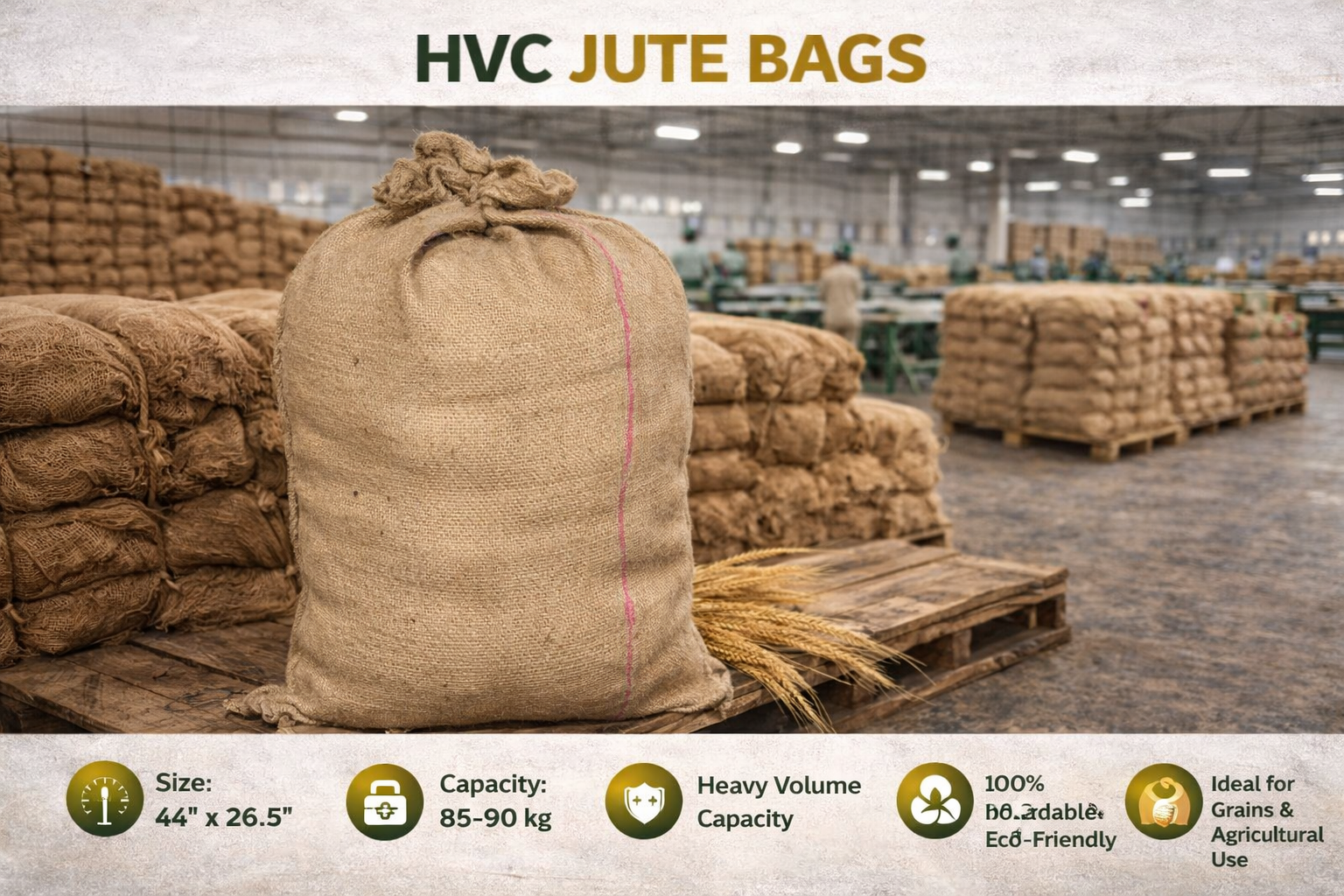 ChatGPT Image Feb 19, 2026, 02_36_31 PM